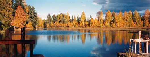 Så här vacker var dammen 1999
Foto Arne Söderkvist