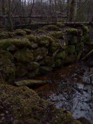 Resterna av en gammal skvaltkvarn 
Sturkvänn som låg 100 meter ovanför Lindbron. Foto LR 091115
